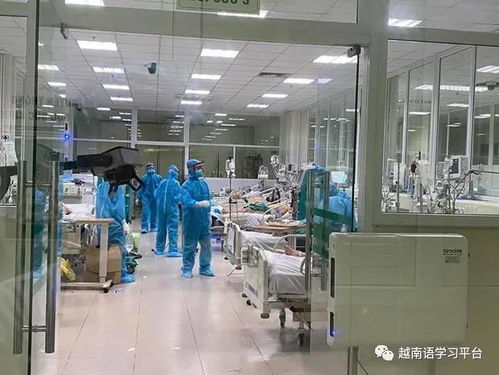 越南疫情最新 新增276例累計確診4112例，北寧省出現首例死亡病例
